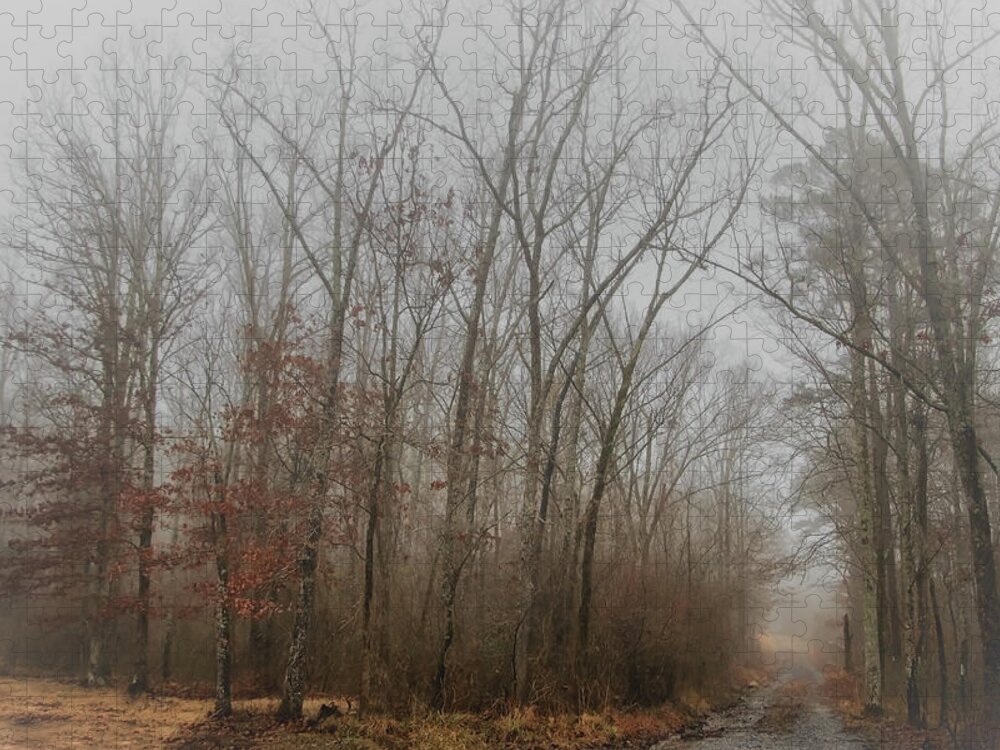 Tree Jigsaw Puzzle featuring the photograph Foggy Winter Morning by Elaine Malott