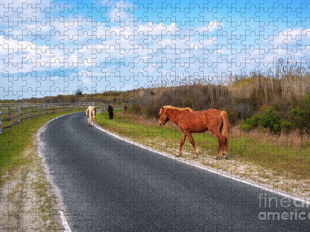 Assateague National Park Jigsaw Puzzle featuring the photograph Follow the curved path by Izet Kapetanovic