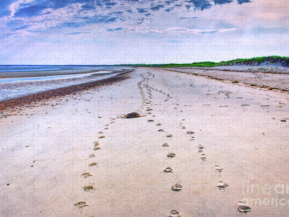 Brewster Jigsaw Puzzle featuring the photograph Footprints in the Sand by Robert Anastasi