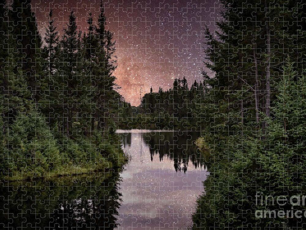 Forest Jigsaw Puzzle featuring the photograph Forest at Night Photo 170 by Lucie Dumas