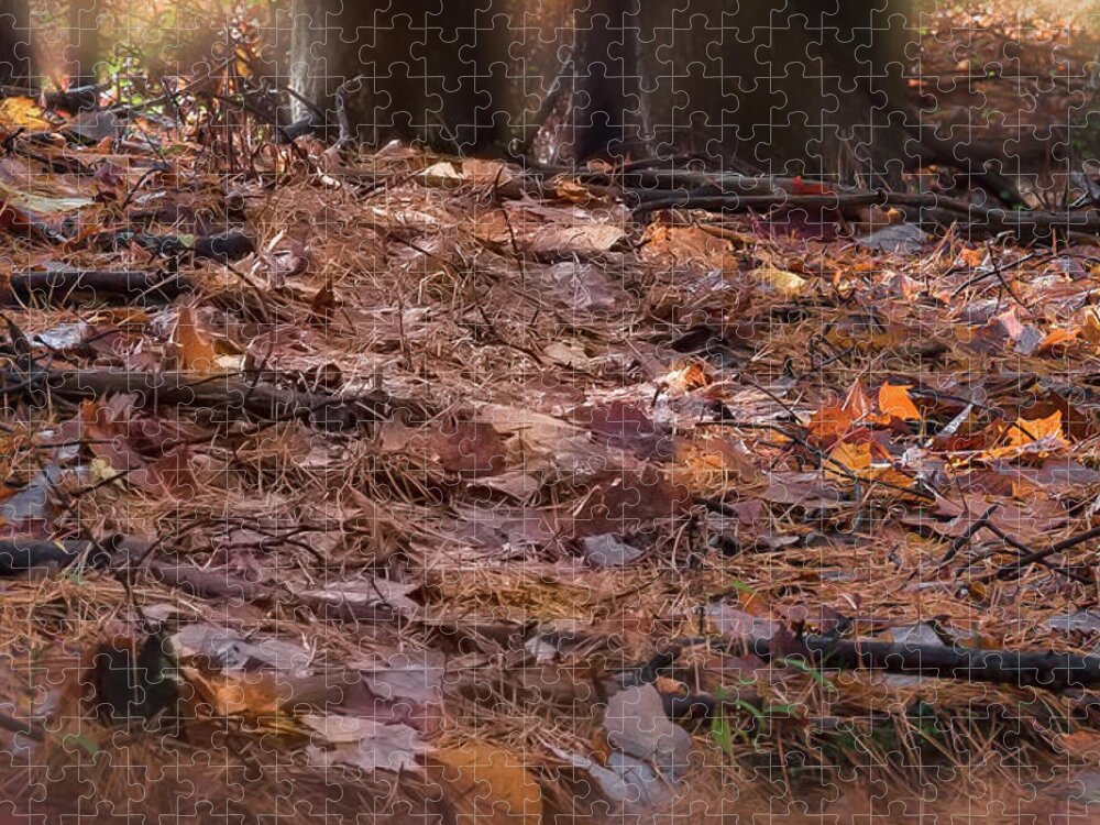 Autumn Jigsaw Puzzle featuring the photograph Forest Floor - by Julie Weber