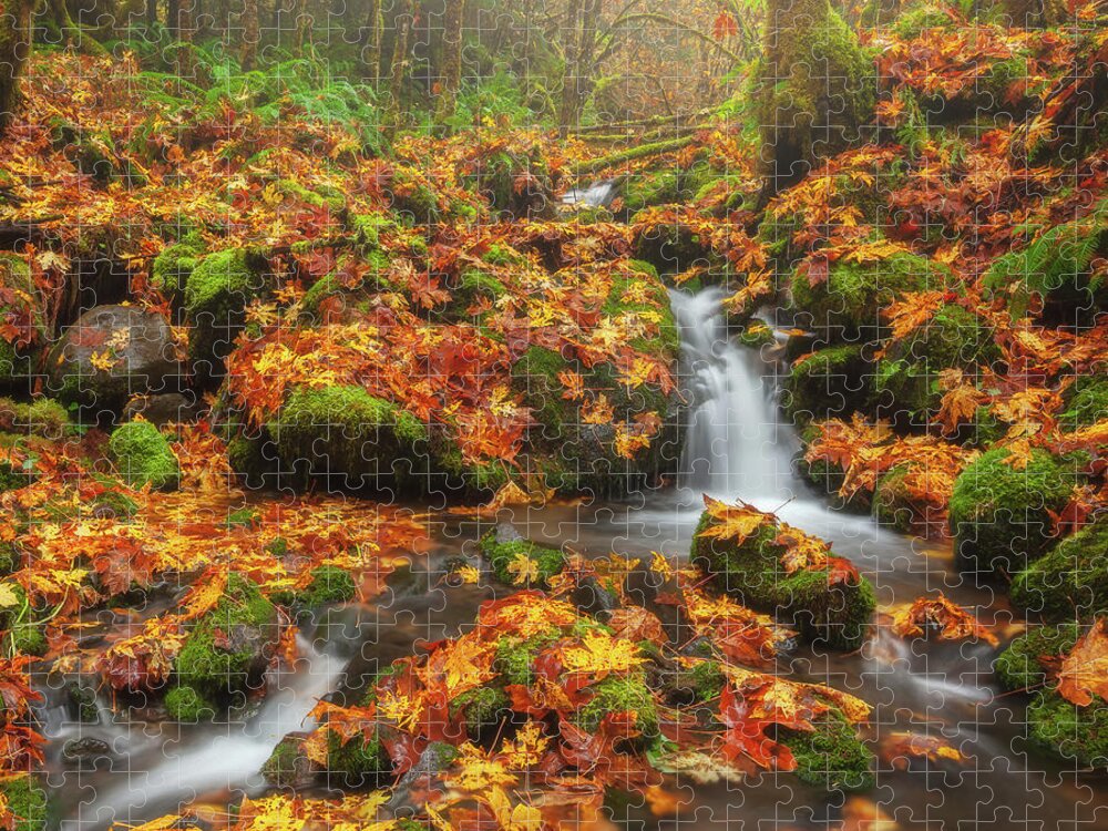 Oregon Jigsaw Puzzle featuring the photograph Forest in the Fog by Darren White