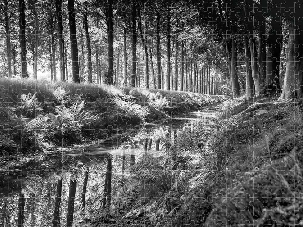 Black&white Jigsaw Puzzle featuring the photograph Forest by MPhotographer