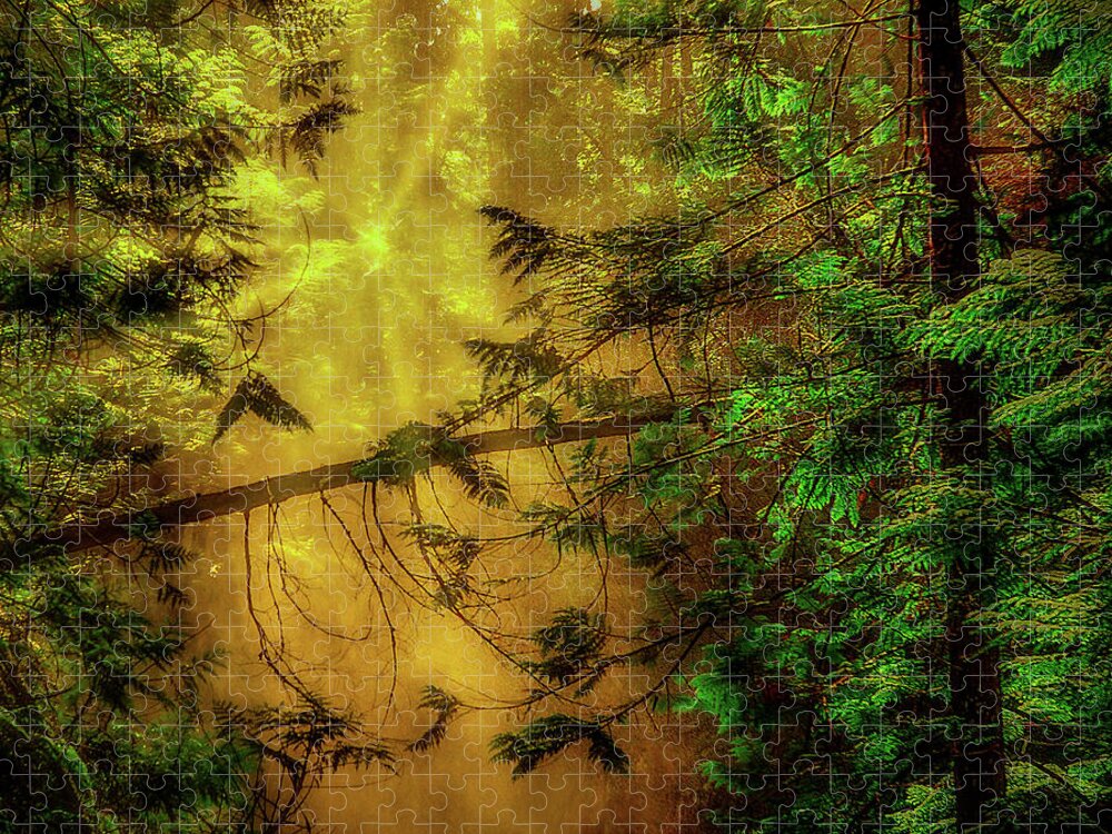 Forest Jigsaw Puzzle featuring the photograph Forest Mist by Dan Eskelson