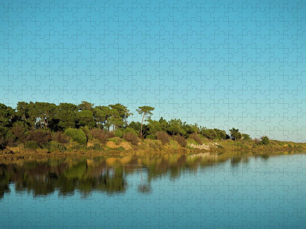 Lake Jigsaw Puzzle featuring the photograph Forests Mirror by Angelo DeVal