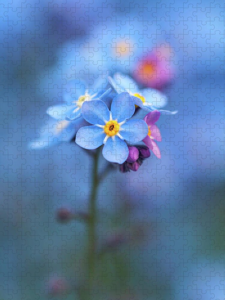 Forget-me-not Jigsaw Puzzle featuring the photograph Forget Me Not by Maria Meester