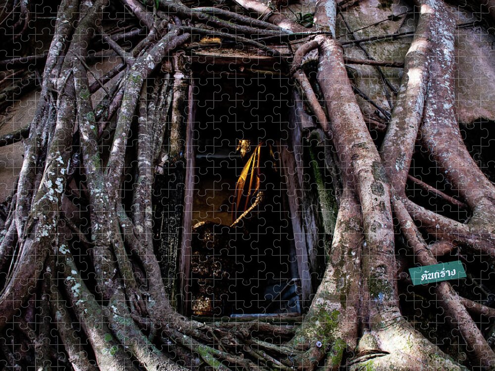 Banyan Jigsaw Puzzle featuring the photograph Forgotten Temple - Wat Ban Kung, Thailand by Earth And Spirit