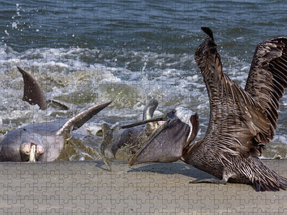Dolphin Jigsaw Puzzle featuring the photograph Found the Fish by Patricia Schaefer