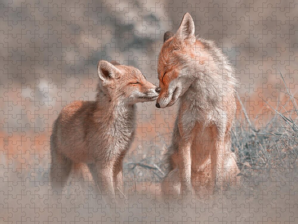 Red Fox Jigsaw Puzzle featuring the photograph Fox Felicity - Mother and fox kit showing love and affection by Roeselien Raimond