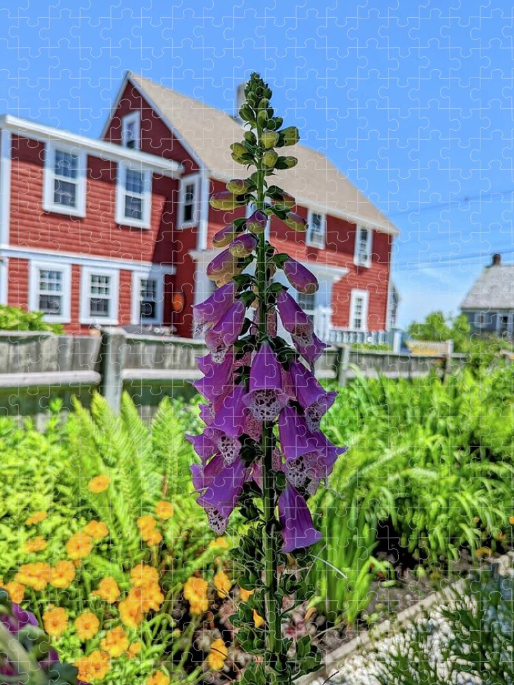 Foxglove Jigsaw Puzzle featuring the painting Foxglove and a Red House by Annalisa Rivera-Franz