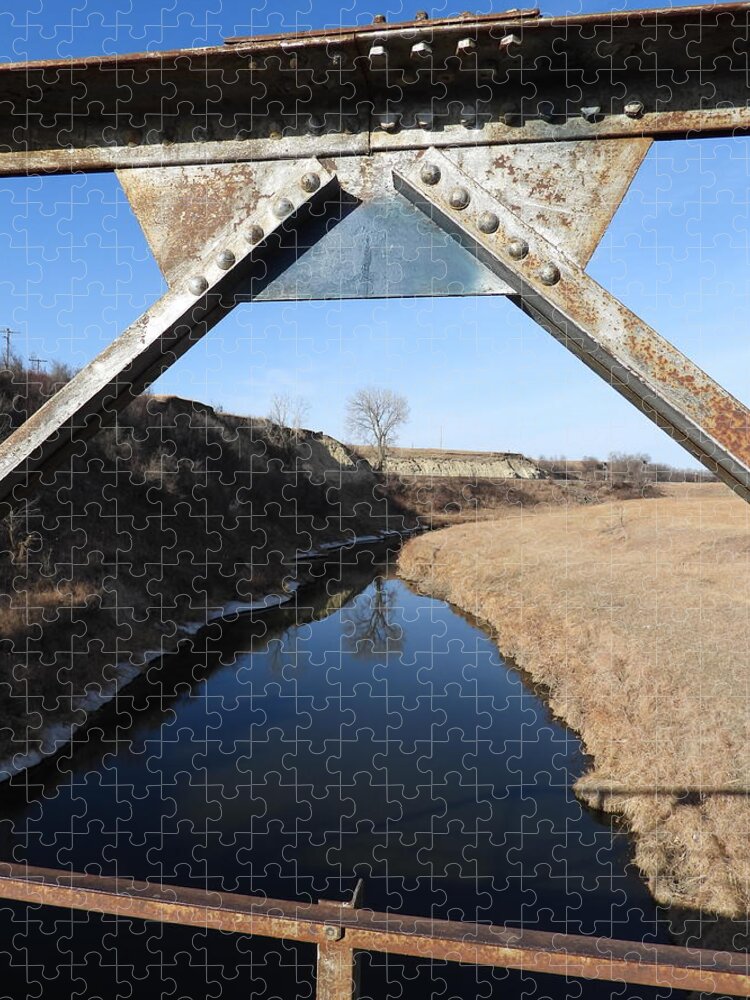 Iron Bridge Jigsaw Puzzle featuring the photograph Framed Tree Reflection by Amanda R Wright