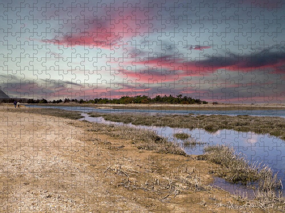 Beach Jigsaw Puzzle featuring the photograph Freedom by Lynda Lehmann