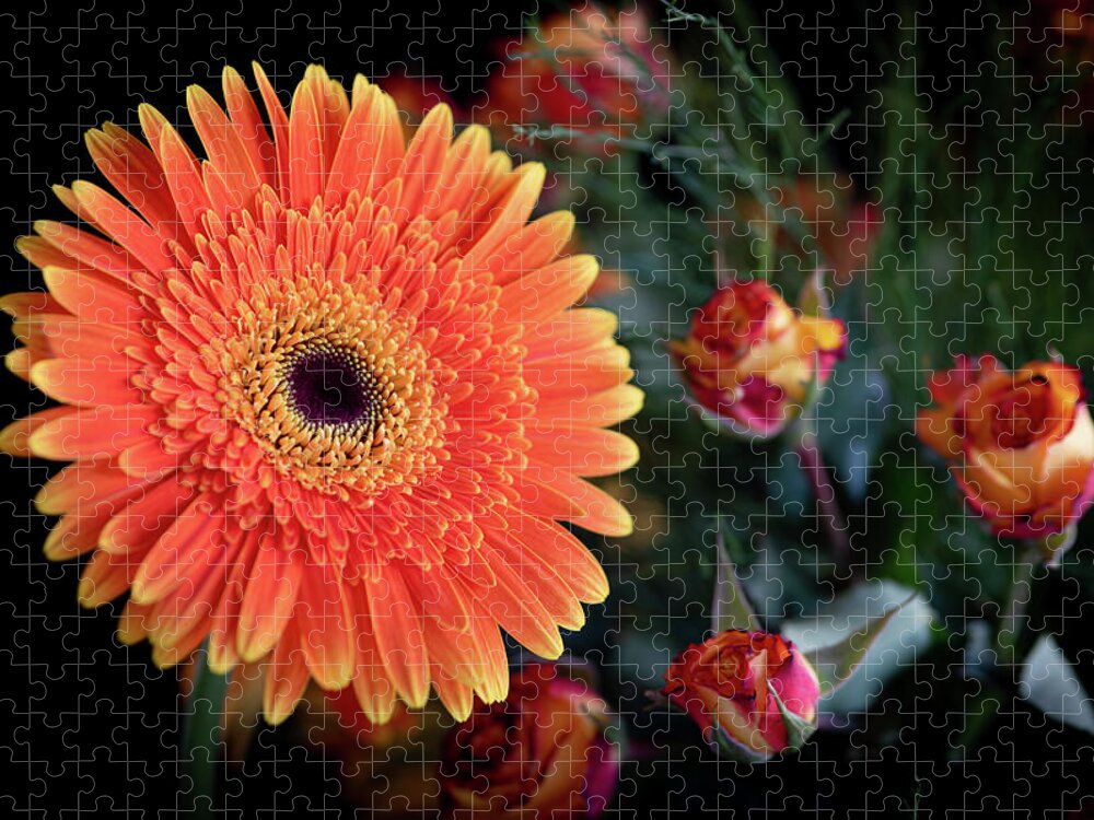 Daisies Jigsaw Puzzle featuring the photograph Fresh beautiful orange daisy flower blossom. Blooming flower by Michalakis Ppalis