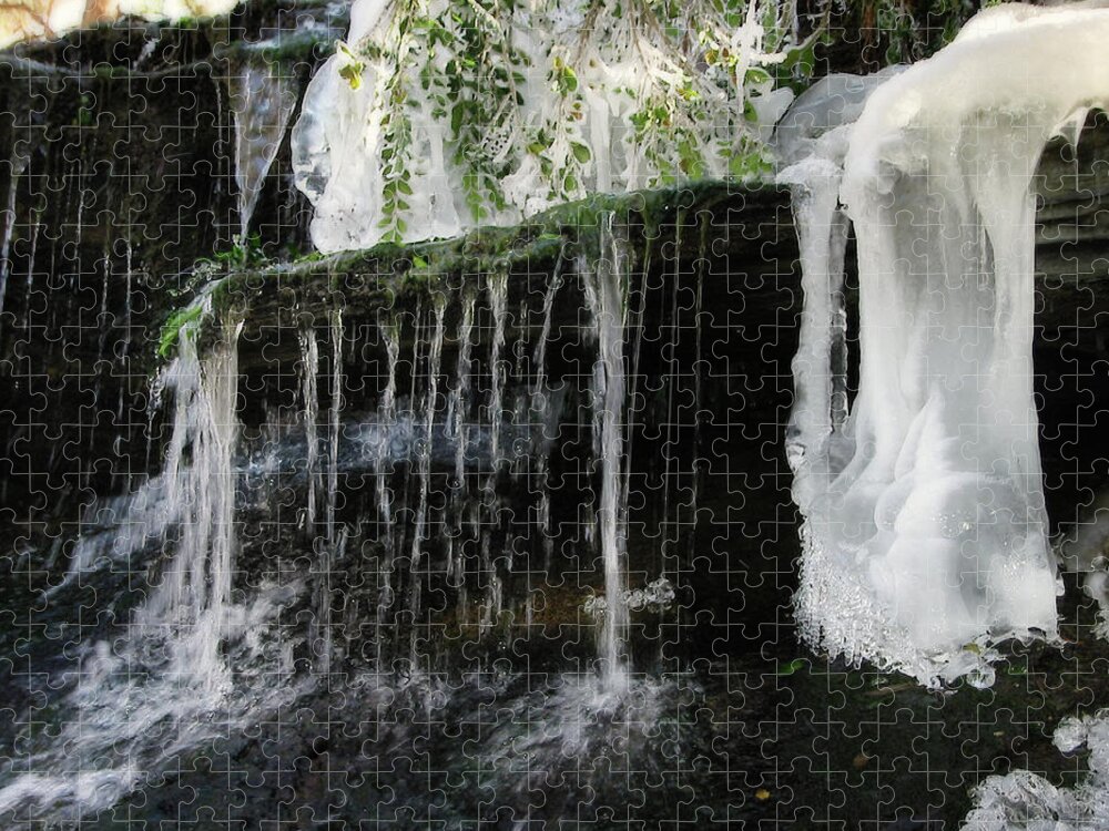 Cookeville Jigsaw Puzzle featuring the photograph Fresh Frozen - greenery encased in ice at Cookeville TN City Lake Waterfall by Peter Herman