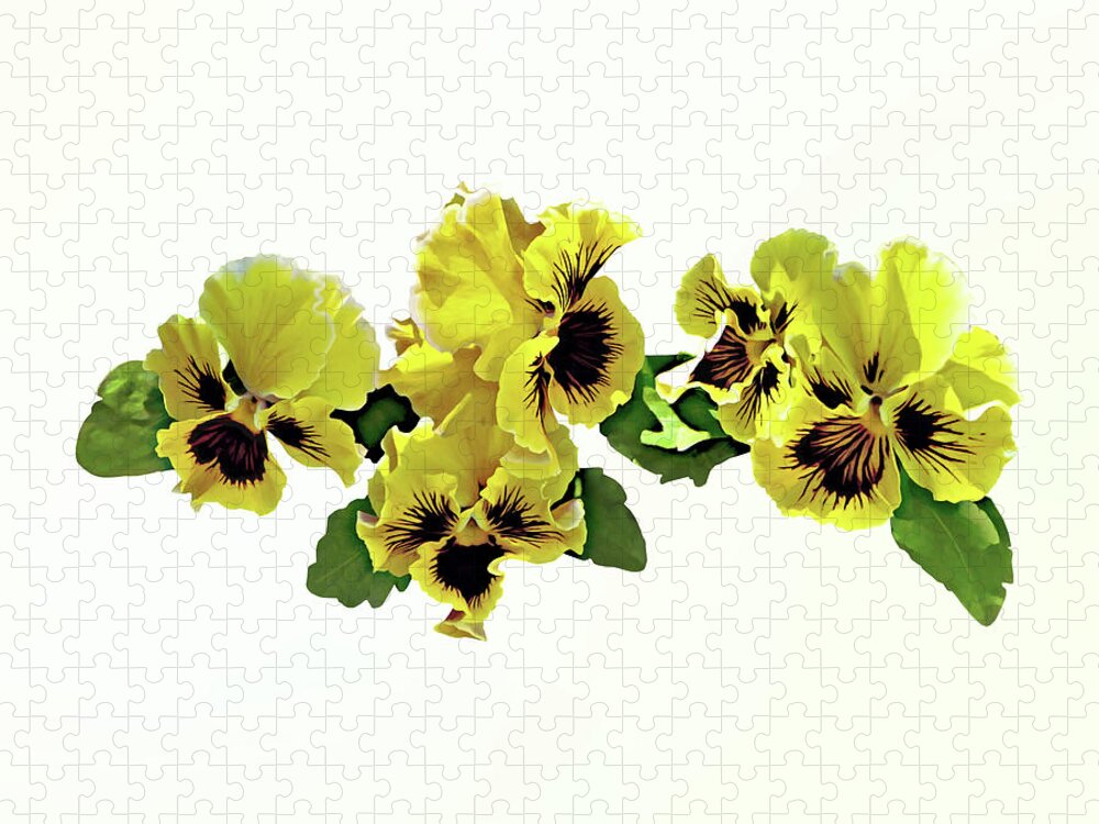 Pansy Jigsaw Puzzle featuring the photograph Frilly Yellow Pansies by Susan Savad