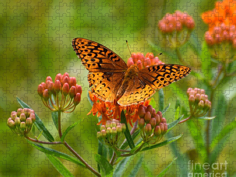 Fritillary Butterfly Jigsaw Puzzle featuring the photograph Fritillary In the Flowers by Kerri Farley
