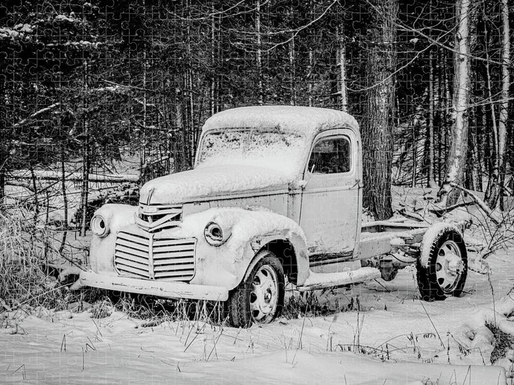 #fine Art Photograph #black And White Photograph #abandoned #wisconsin #old #antique #woods #forest #trees #shadows #history #old Parts #ford Truck #ford Automobile #walk In The Woods #afternoon Walk #afternoon Light #highlights #wall Decor #wall Art Jigsaw Puzzle featuring the photograph Frosted truck by David Heilman