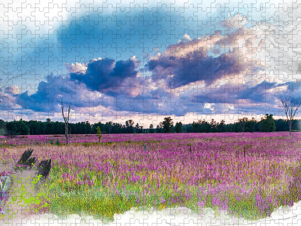 Landscape Jigsaw Puzzle featuring the mixed media Fuchsia Fields by Moira Law