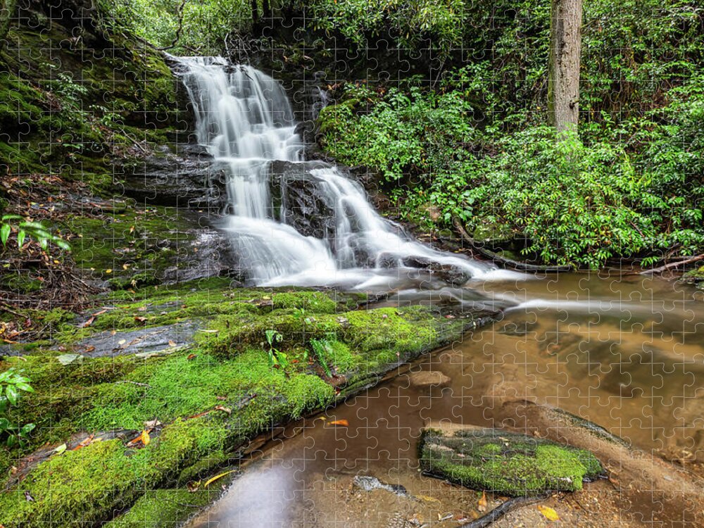 Gage Creek Falls Jigsaw Puzzle featuring the photograph Gage Creek Falls by Chris Berrier