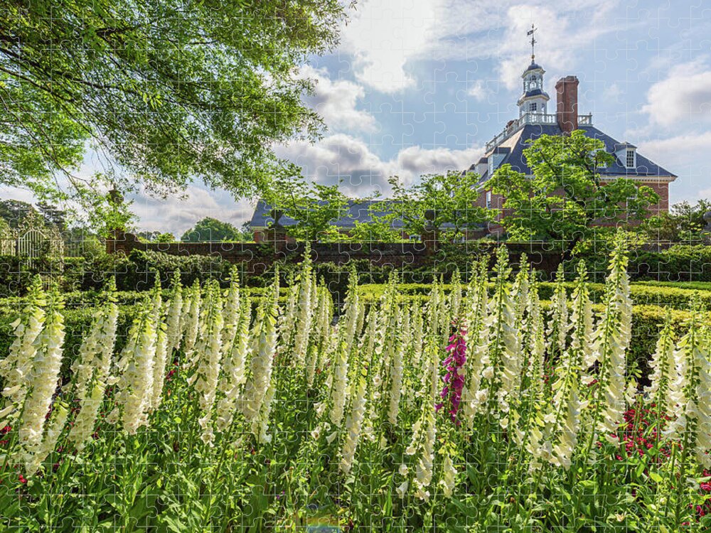 Colonial Williamsburg Jigsaw Puzzle featuring the photograph Garden Flowers at the Governor's Palace by Rachel Morrison