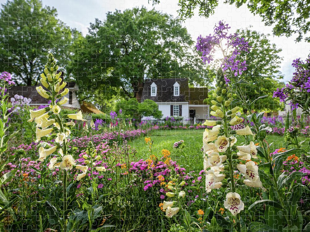 Colonial Williamsburg Jigsaw Puzzle featuring the photograph Garden Foxgloves and Phlox by Rachel Morrison