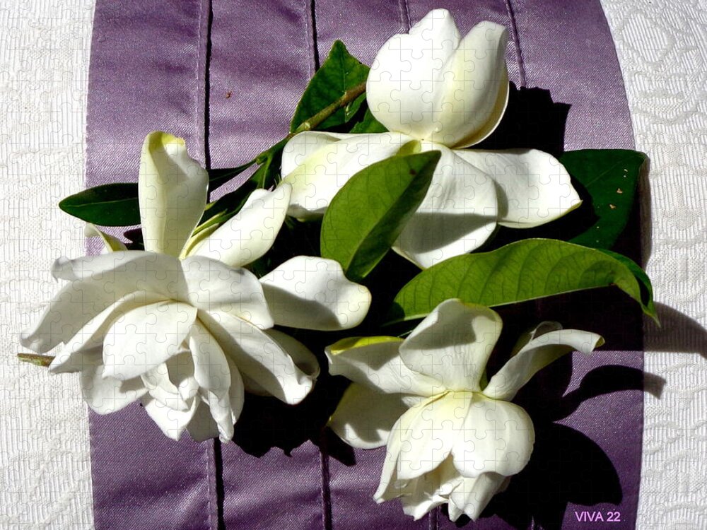 Gardenia Jigsaw Puzzle featuring the photograph Gardenia On Purple by VIVA Anderson