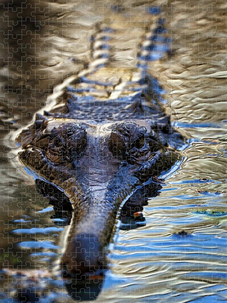 Gharial Jigsaw Puzzle featuring the photograph Gharial Lurking by Rene Vasquez