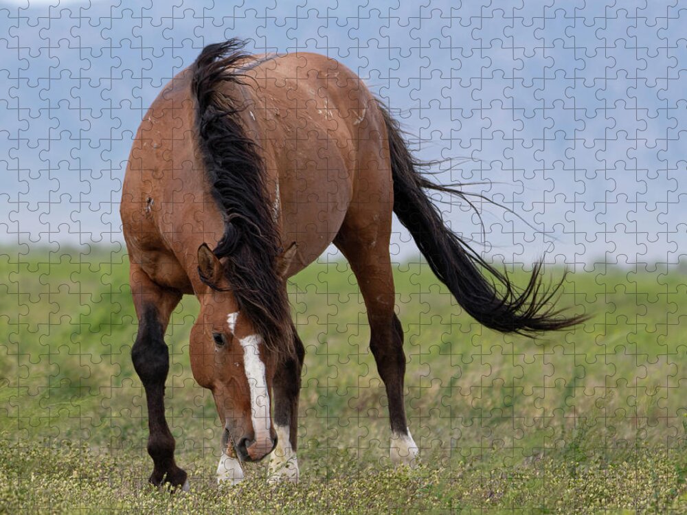 Wild Horses Jigsaw Puzzle featuring the photograph Ghost by Mary Hone