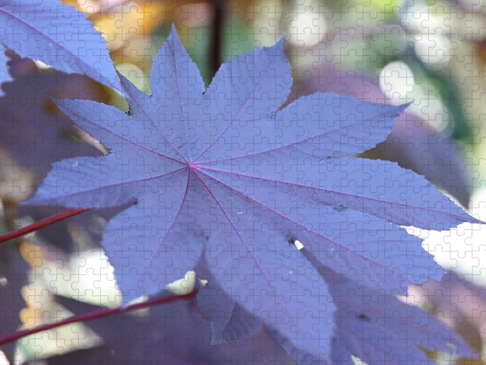 Castor Bean Plant Jigsaw Puzzle featuring the photograph Giant Purple Leaves by Mingming Jiang