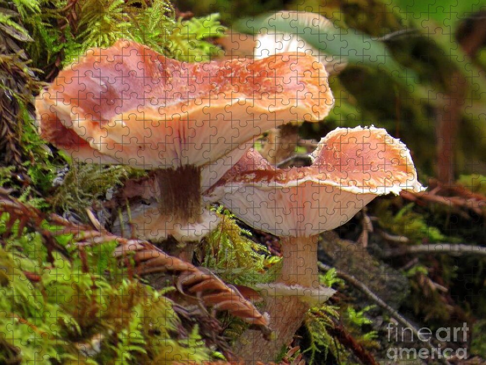 Gilled Jigsaw Puzzle featuring the photograph Gilled And Ringed Mushrooms by Linda Vanoudenhaegen