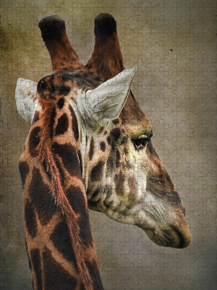 Giraffe Portrait Jigsaw Puzzle featuring the photograph Giraffe by Rebecca Herranen