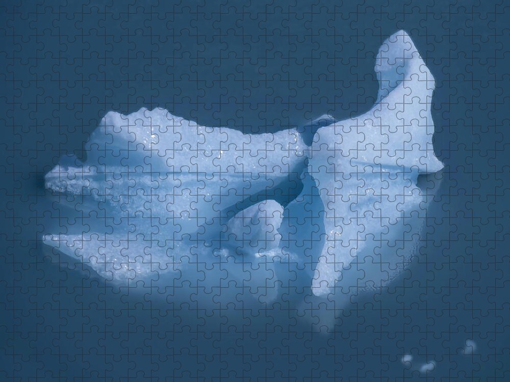 2022 Jigsaw Puzzle featuring the photograph Glacier detail -1603 by Deidre Elzer-Lento
