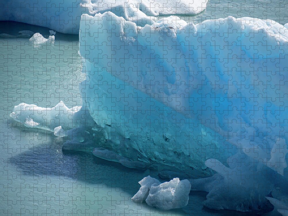 2022 Jigsaw Puzzle featuring the photograph Glacier details -1604 by Deidre Elzer-Lento