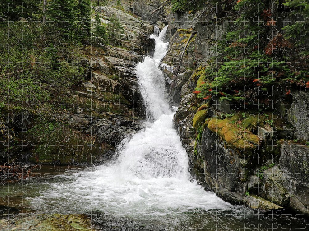 Aster Falls Jigsaw Puzzle featuring the photograph Glacier National Park - Aster Falls by Richard Krebs