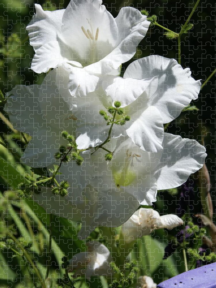  Jigsaw Puzzle featuring the photograph Gladiolus by Heather E Harman