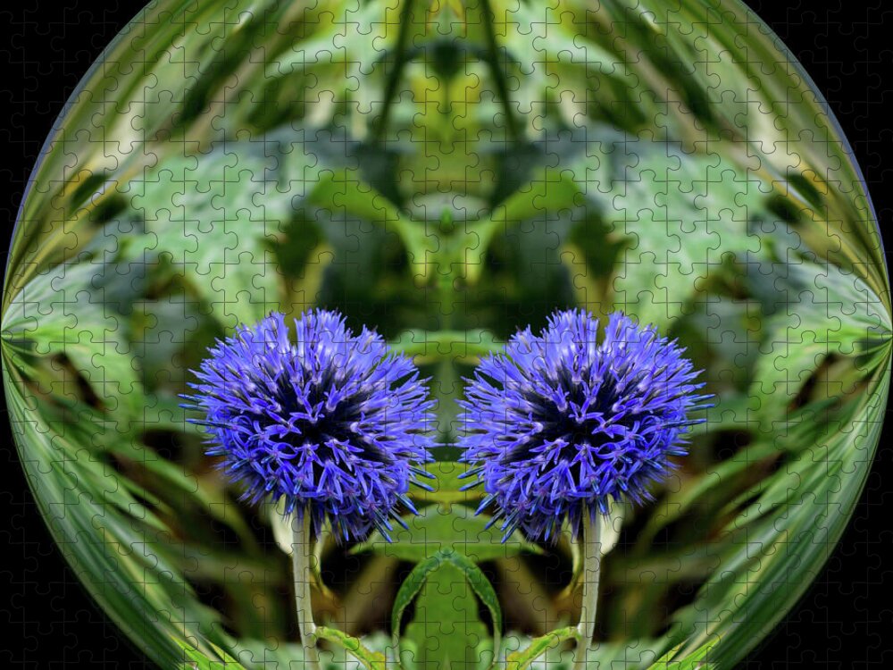 Flowers Jigsaw Puzzle featuring the photograph Globe Thistle by Yvonne Johnstone