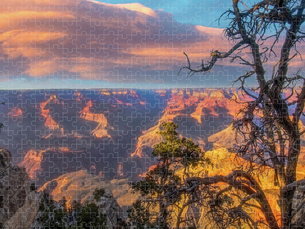 Arizona Jigsaw Puzzle featuring the photograph Gnarled juniper on Canyon Rim by Jeff Folger