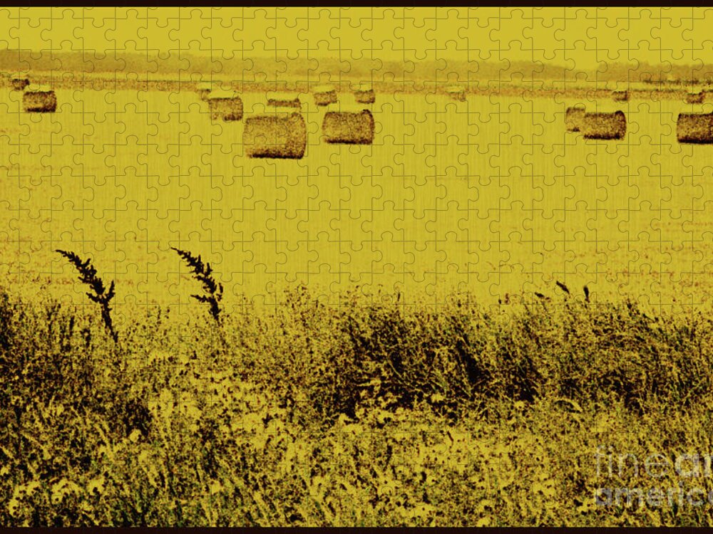 Golden Jigsaw Puzzle featuring the photograph Golden Fields by Mary Mikawoz