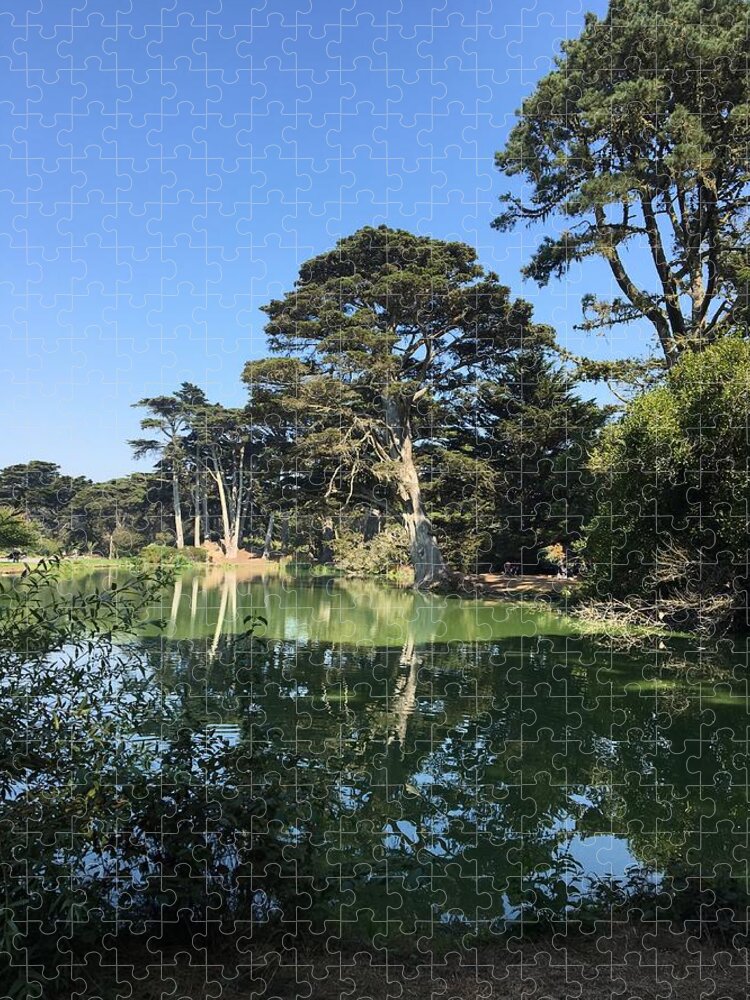 Park Jigsaw Puzzle featuring the photograph Golden Gate Park by Matthew Lazure