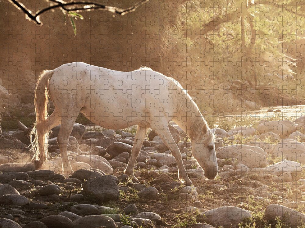 Horse Jigsaw Puzzle featuring the photograph Golden Hour by Carmen Kern