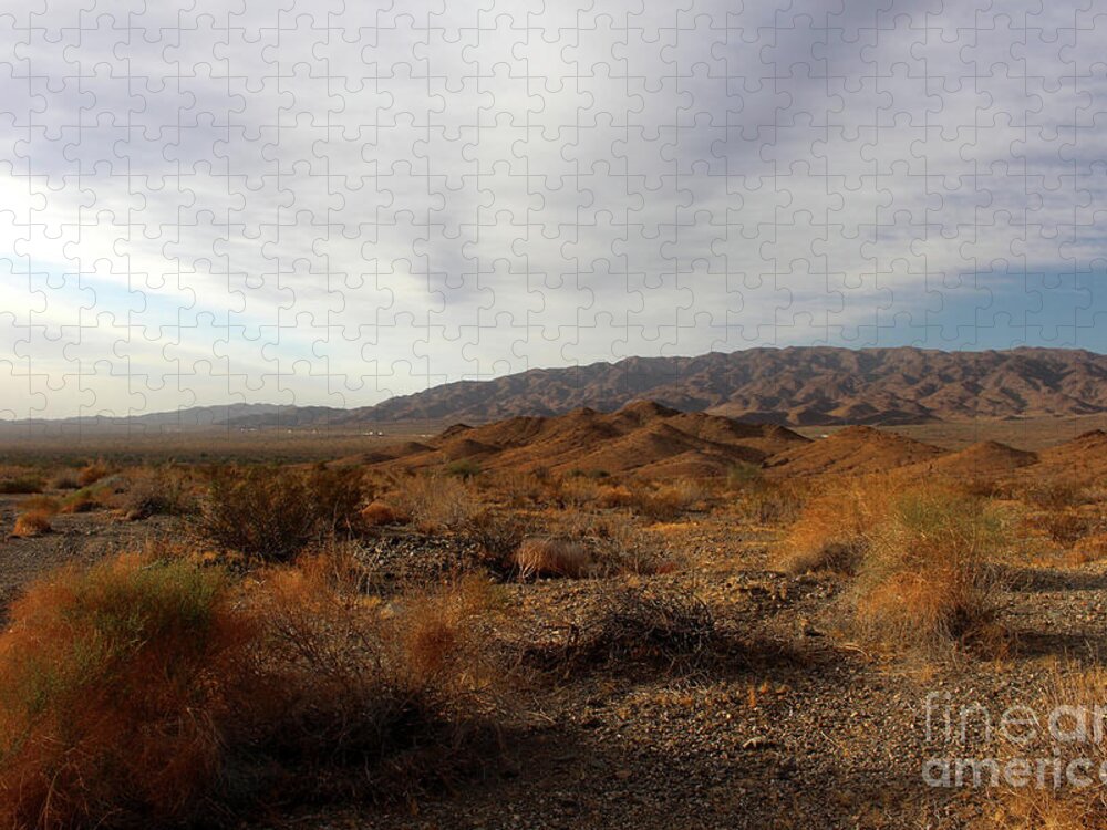 Desert Jigsaw Puzzle featuring the photograph Golden Hour in the Desert by Katherine Erickson