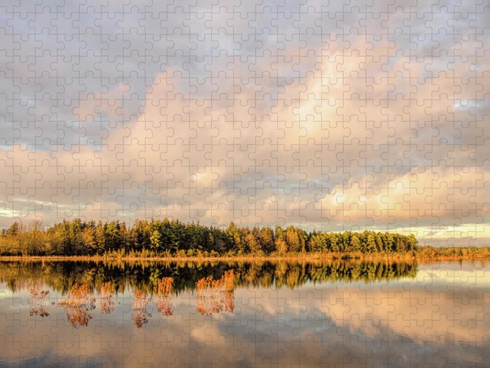 Reflection Jigsaw Puzzle featuring the photograph Golden Hour Pine Glow by Beth Sawickie