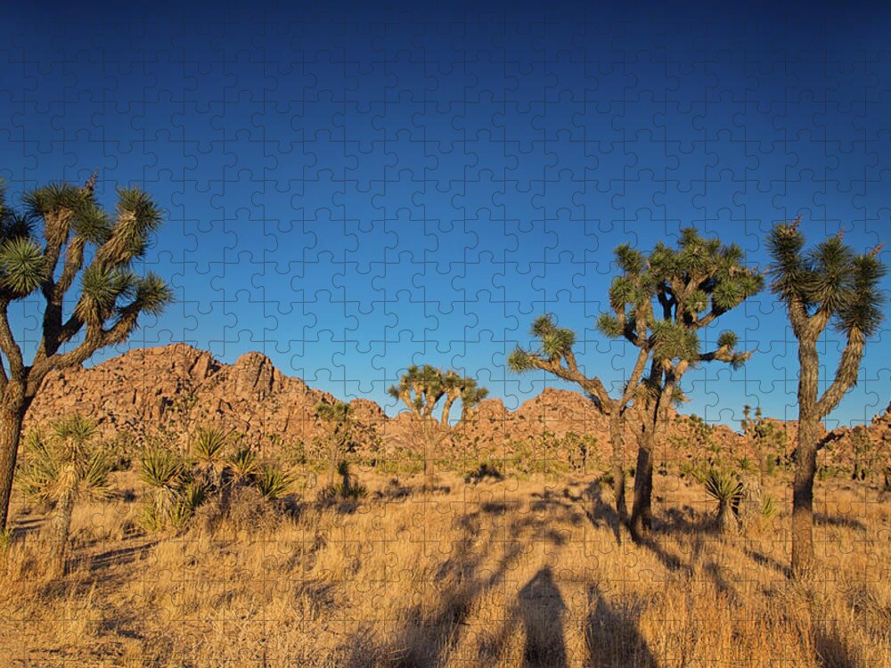 Boy Scout Trail Jigsaw Puzzle featuring the photograph Golden minute along boy scout trail by Kunal Mehra