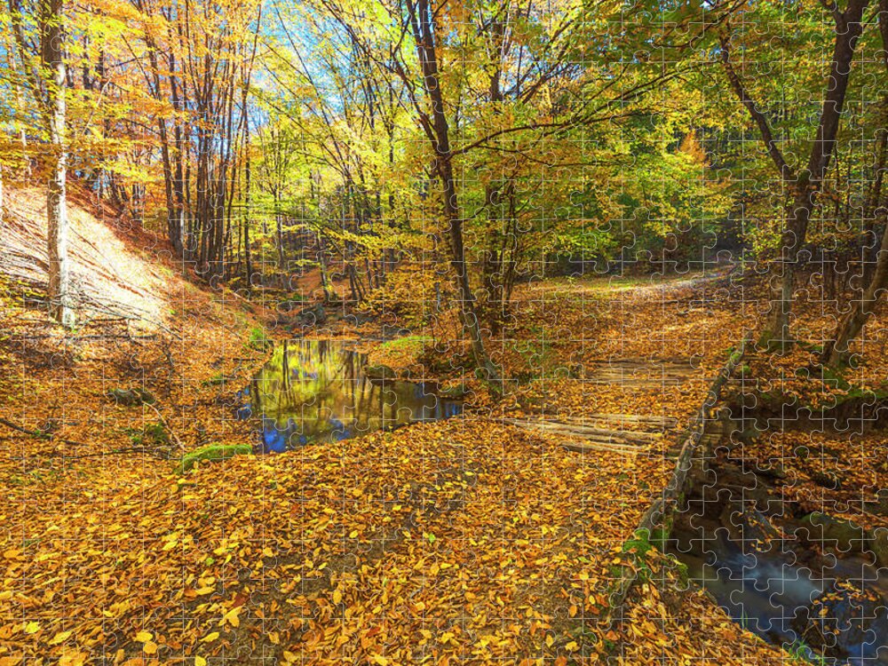 Bulgaria Jigsaw Puzzle featuring the photograph Golden River by Evgeni Dinev