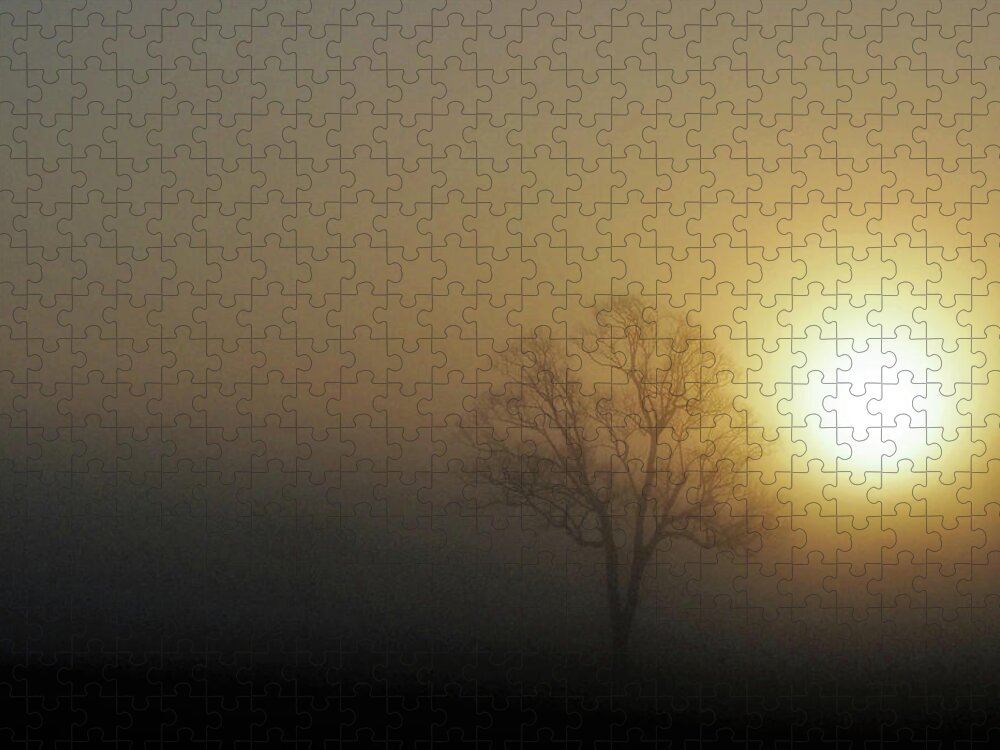 Fog Jigsaw Puzzle featuring the photograph Golden Tree by Jerry Connally
