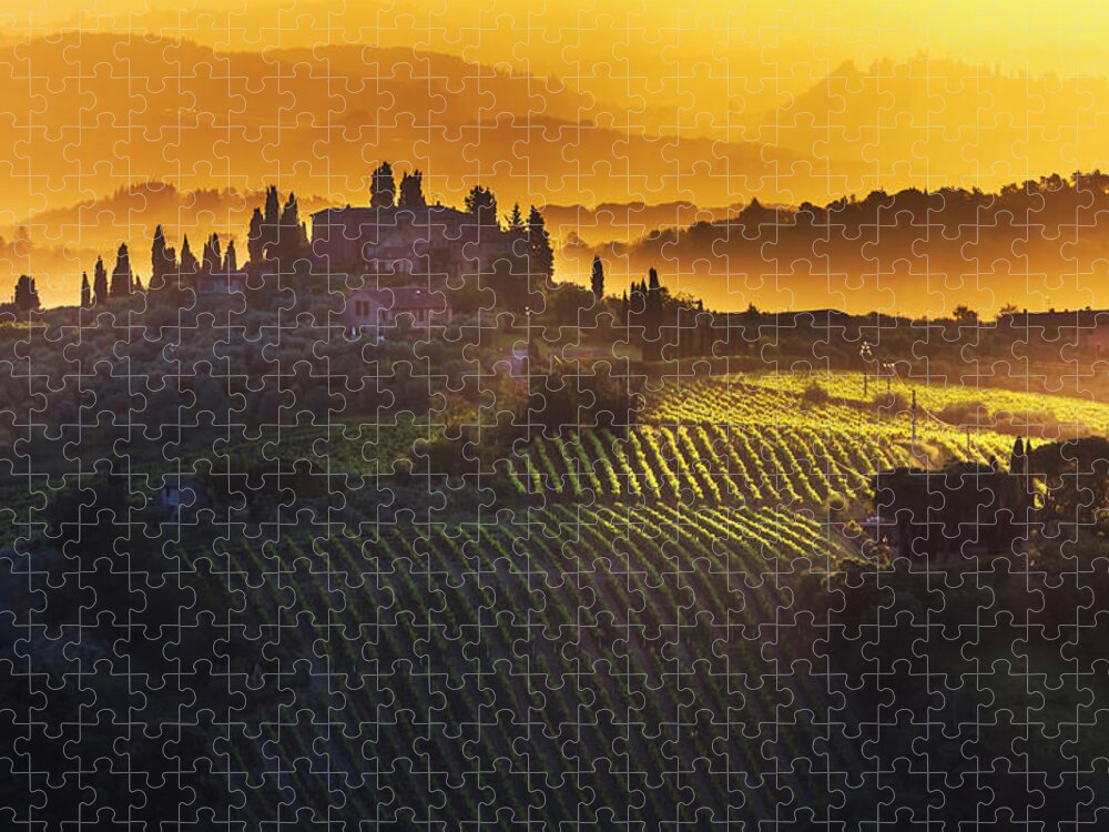 Italy Jigsaw Puzzle featuring the photograph Golden Tuscany by Evgeni Dinev