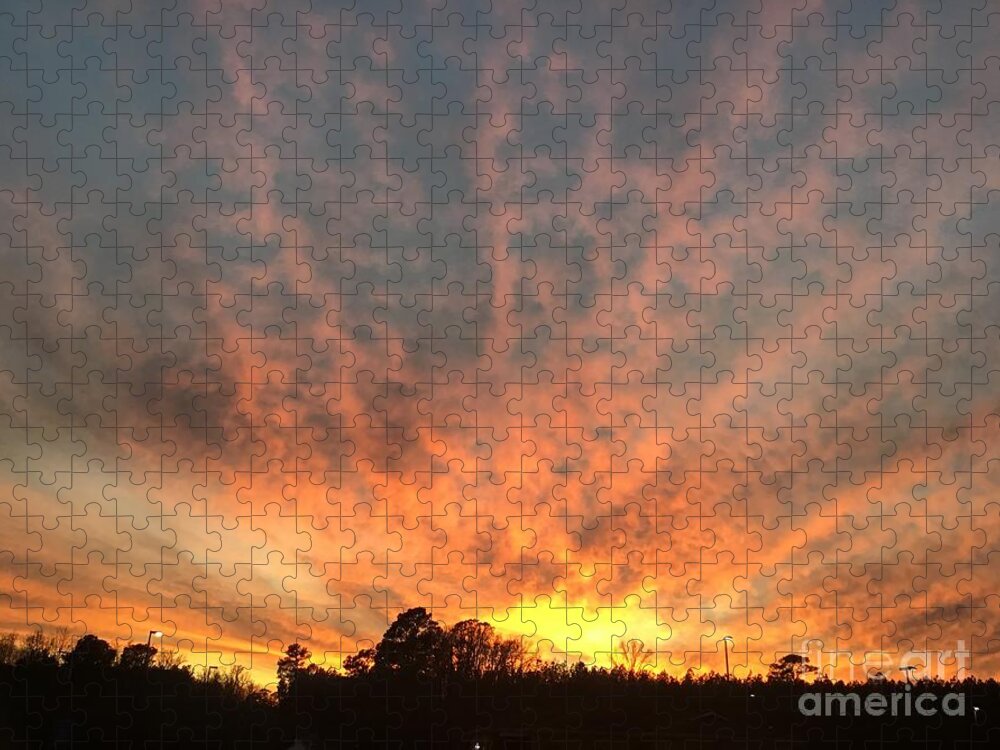 Sunset Jigsaw Puzzle featuring the photograph Good Evening Sunset by Catherine Wilson