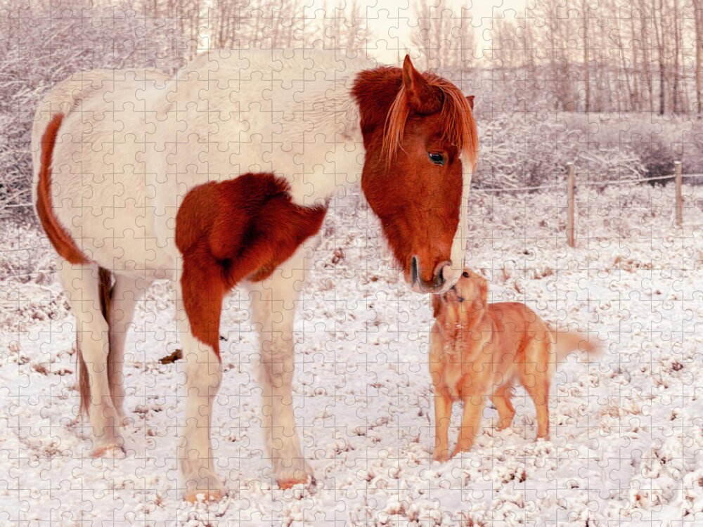 2020-12-08 Jigsaw Puzzle featuring the photograph Gracie And Horse by Phil And Karen Rispin