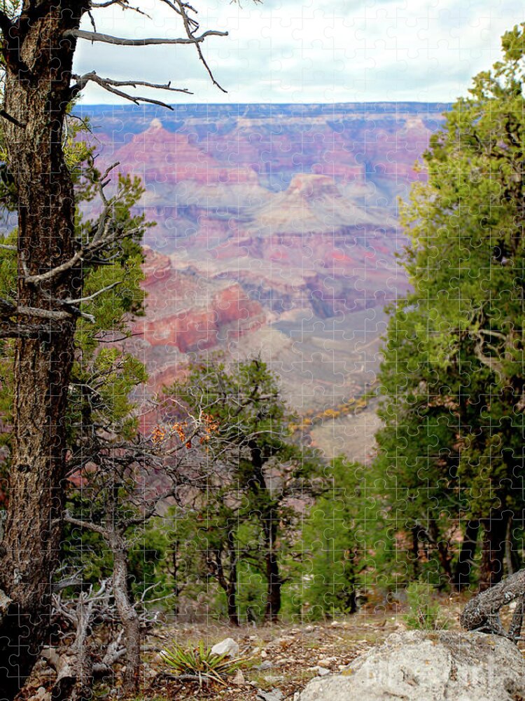 Grand Canyon National Park Jigsaw Puzzle featuring the photograph Grand Canyon on the Rim by Catherine Walters