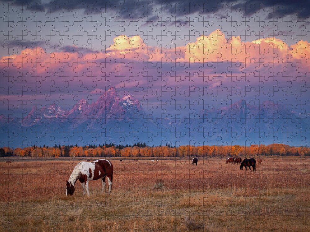 Grand Tetons Jigsaw Puzzle featuring the photograph Grand Teton Pasture by Wesley Aston